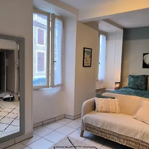  Appartement Grand Studio Centre . France